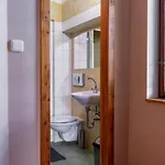 V Mlýnské Strouze Apartmán Plzeň