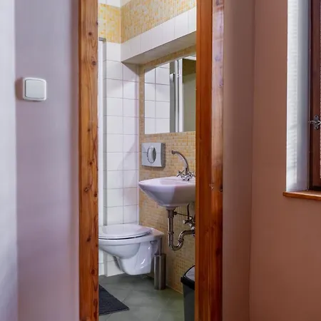 V Mlynske Strouze Apartment Plzen
