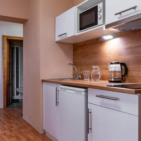 V Mlynske Strouze アパート