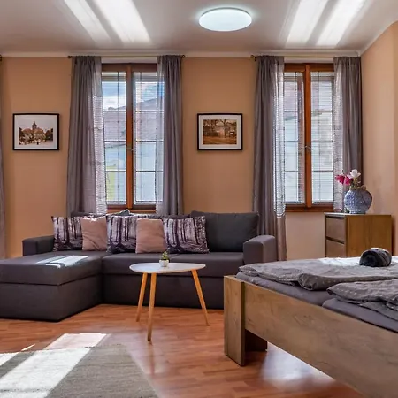 V Mlynske Strouze * プルゼニ