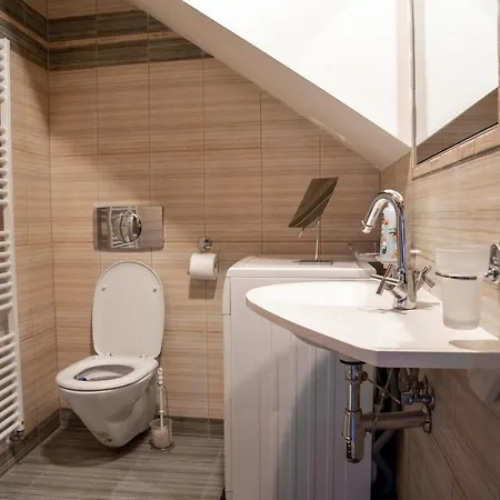 V Mlynske Strouze Apartment *