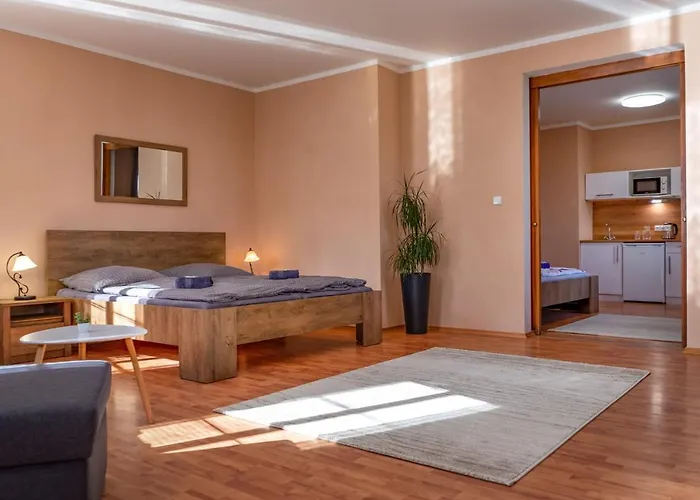 V Mlýnské Strouze Plzeň