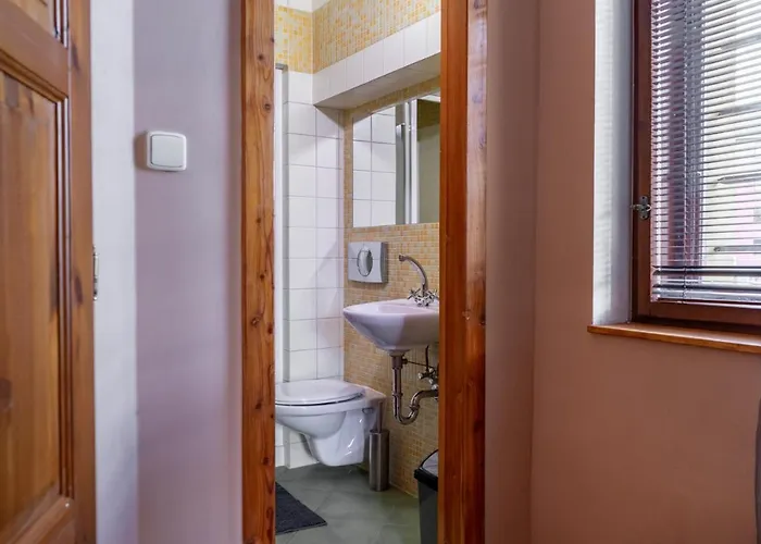 V Mlýnské Strouze Appartement Plzeň