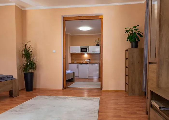 公寓 V Mlynske Strouze