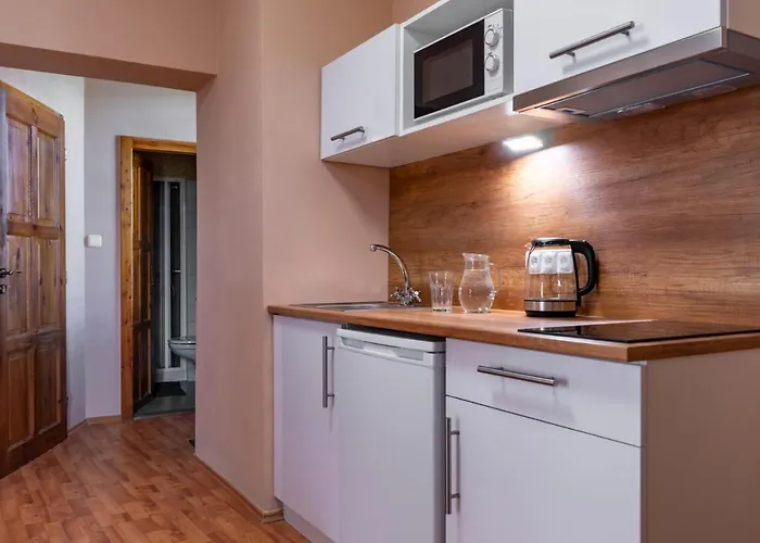 V Mlýnské Strouze Appartement